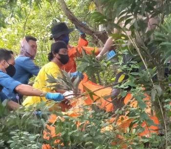 Identitas Pria yang Tewas Tergantung di Pohon Sekitar Galian Gunung Camang Berhasil Diketahui